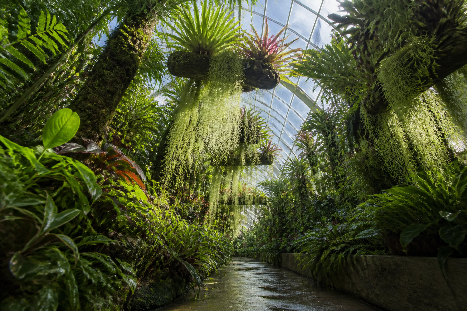 Nature et science au cœur de la métropole