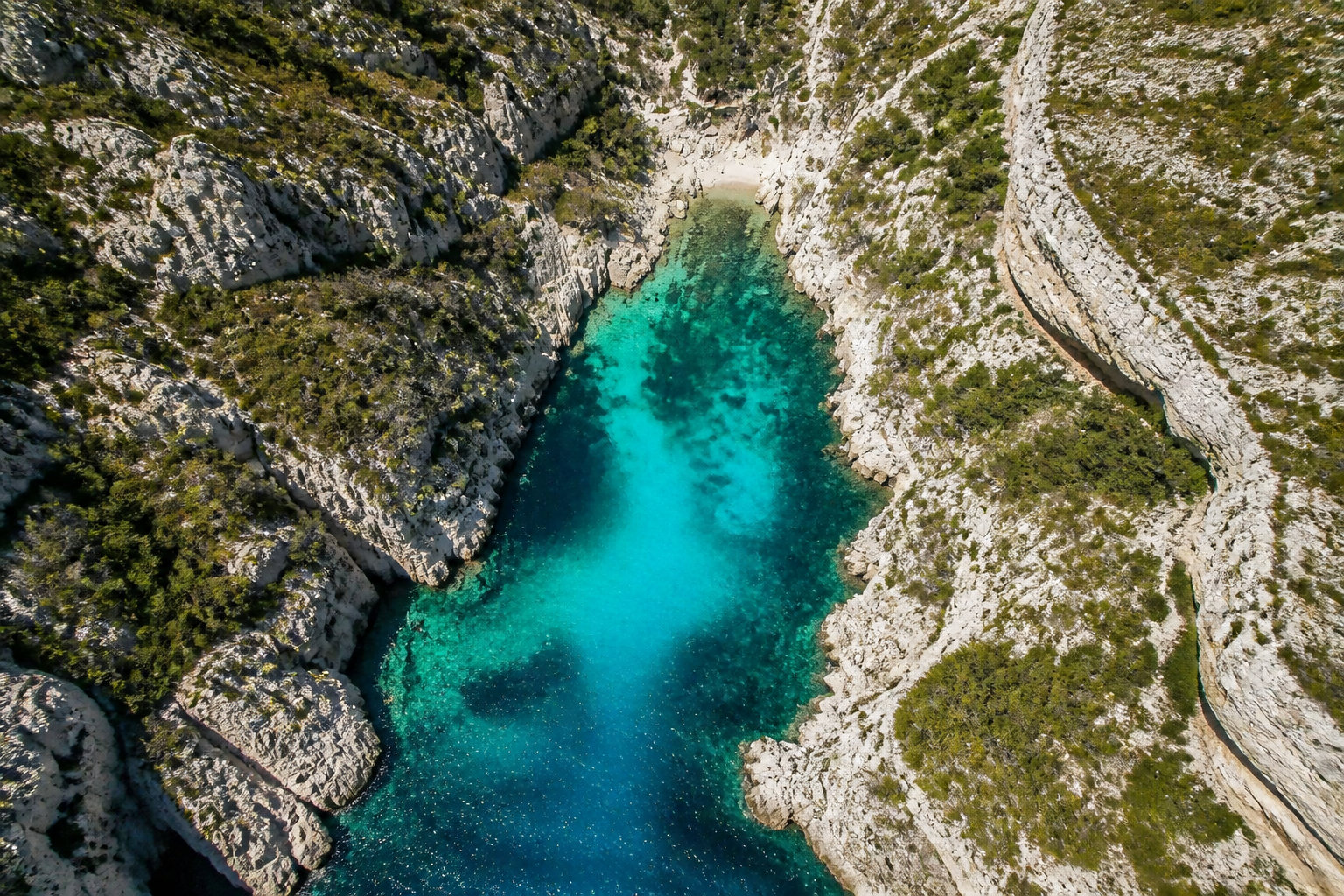 Pourquoi Marseille n'a pas son grand aquarium public ?